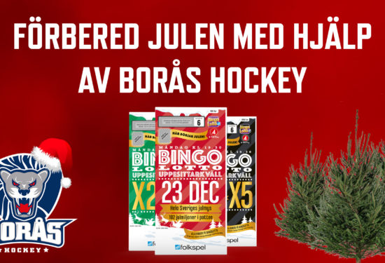 Förbered julen med borås hockey